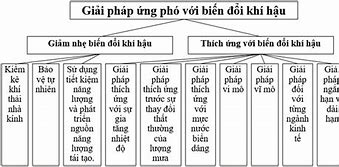 Các Nước Châu Âu Đã Có Những Giải Pháp Gì Để Ứng Phó Với Biến Đổi Khí Hậu