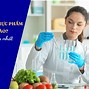 Ngành Công Nghệ Thực Phẩm Học Trường Nào Ở Tphcm