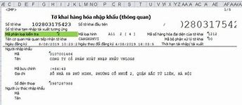 Tờ Khai Hàng Hóa Nhập Khẩu In English Translation Là Gì