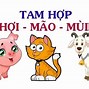 Tuổi Dậu Mr Xung Khắc Mệnh Gì Hợp Với Tuổi Nào