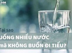 Uống Nước Nhiều Nhanh Đi Tiểu