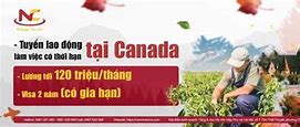 Xklđ Canada 2022 Cần Những Gì ؟ Pdf Free Download Tiếng Việt